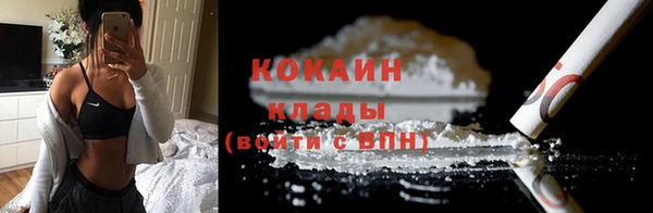 соль ск Инсар