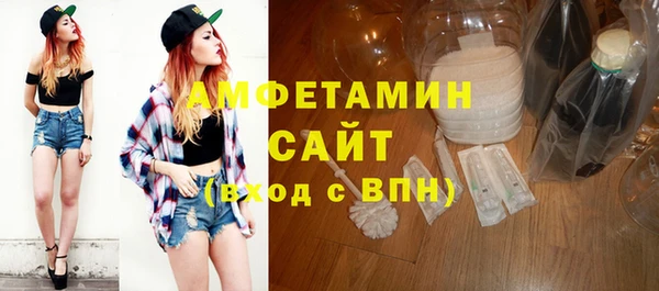 шишки Заволжье