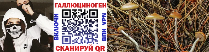 Псилоцибиновые грибы ЛСД  как найти наркотики  Кирс 